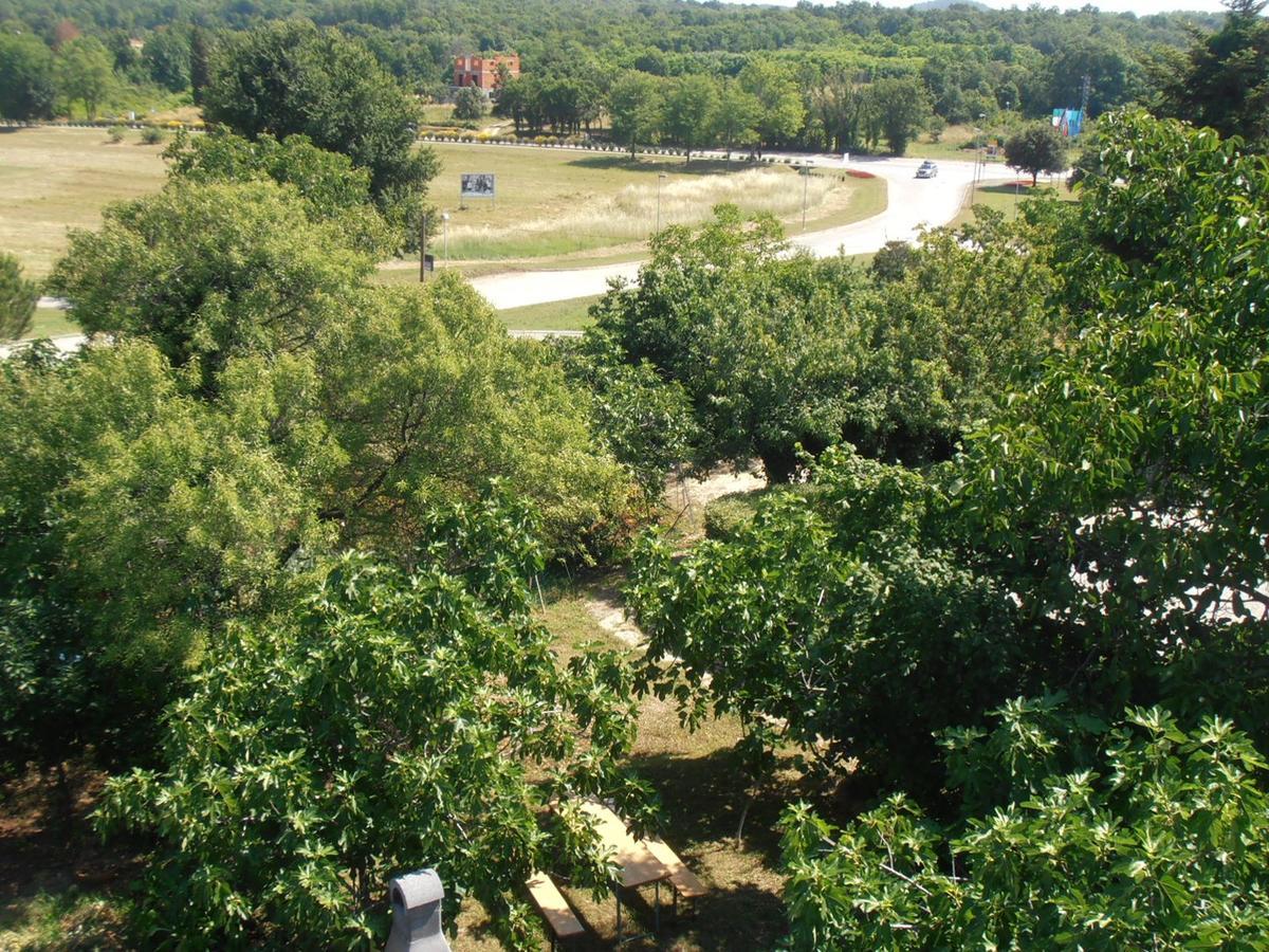 פונטנה Apartments Coki מראה חיצוני תמונה